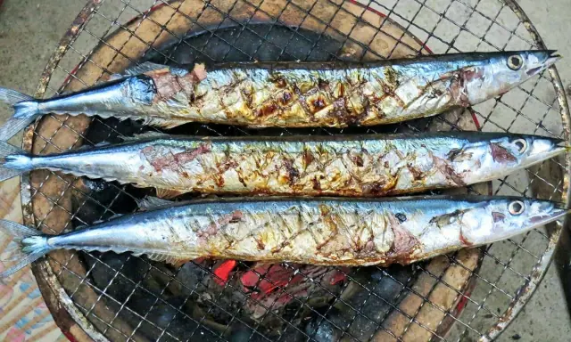 【秋分の日(振替休日)】9月24日(月)は営業しています