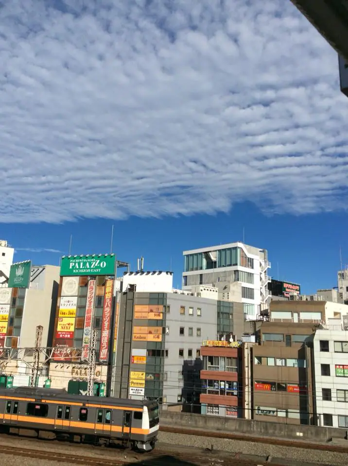 【文化の日】11月3日(土)は営業しています