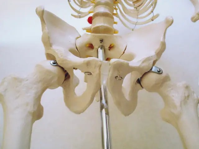 骨盤は歪む/歪まない