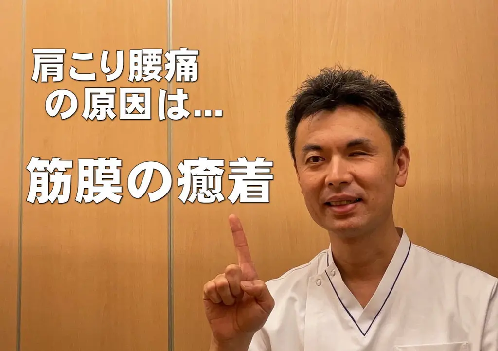 【動画】肩こり腰痛の原因は筋膜の癒着