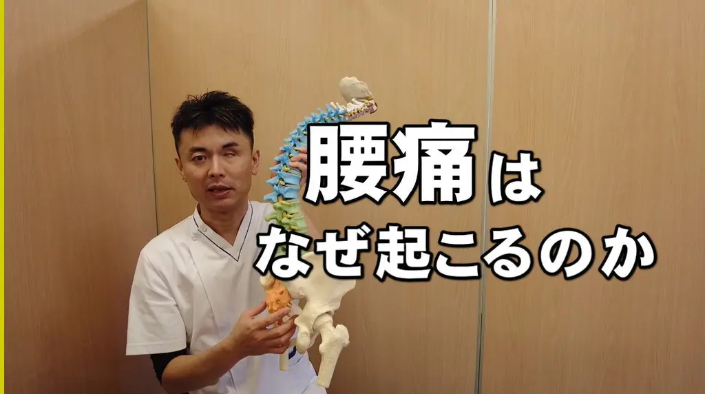 【動画】腰痛はなぜ起こるのか