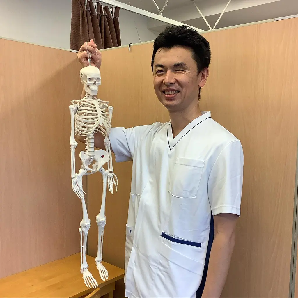 ずっと欲しかった骨格模型
