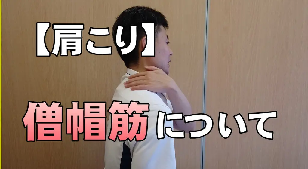 【動画】肩こり、僧帽筋について