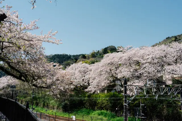 4月の営業について