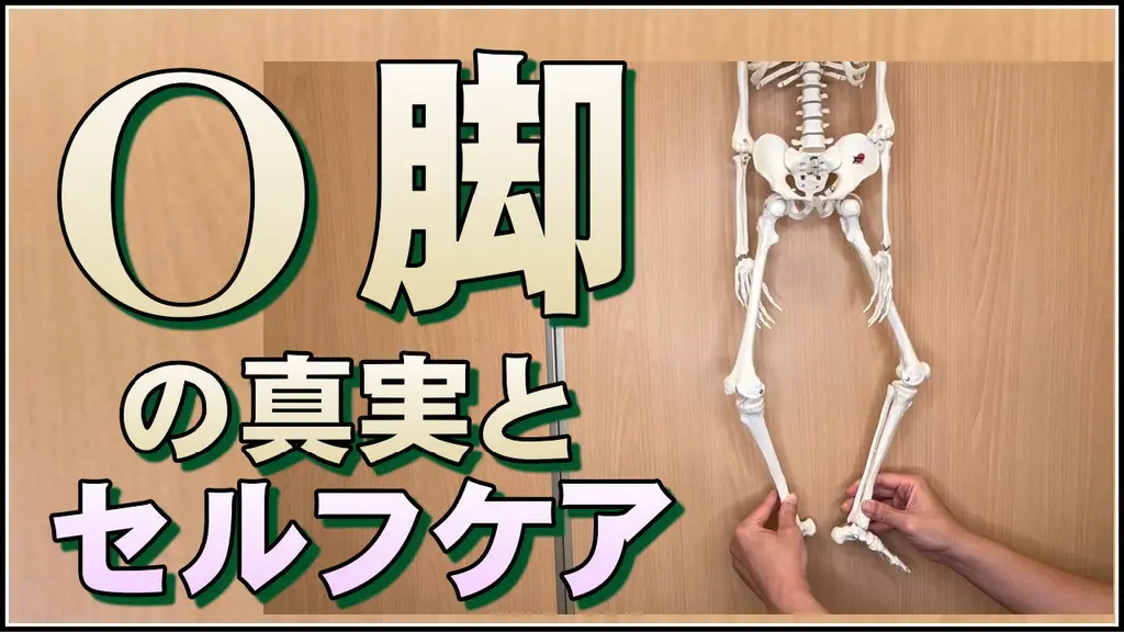 【動画】O脚の真実とセルフケア