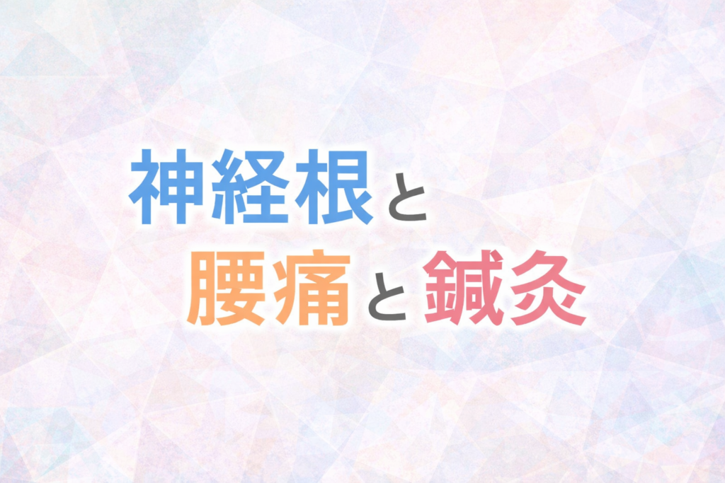 神経根と腰痛と鍼灸
