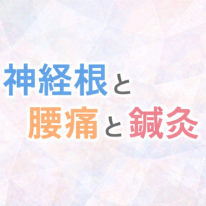 神経根と腰痛と鍼灸