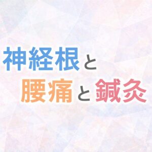 神経根と腰痛と鍼灸