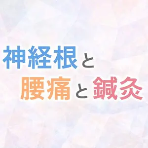 神経根と腰痛と鍼灸